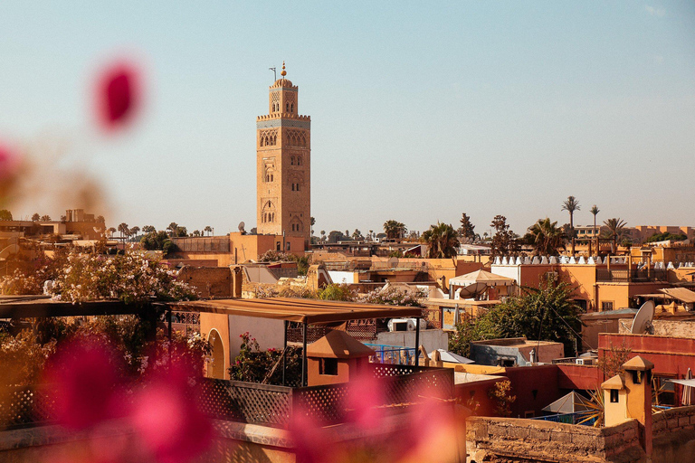 From Agadir: Marrakech Medina & Souks Guided Day Trip
