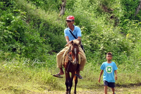 Puerto Plata: Horseback Riding Tour with Beach Views