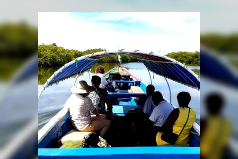 Sine Saloum Adventure from Dakar with canoe & overnight stay Sine Saloum getaway from Dakar with canoe & overnight stay