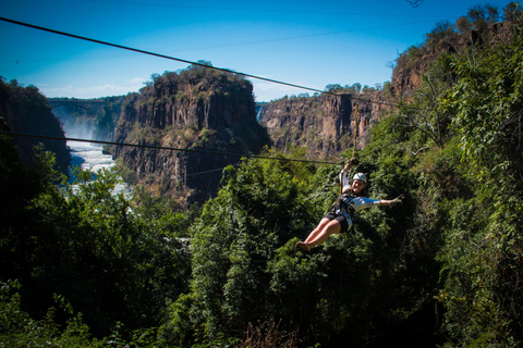 Victoria Falls: Canopy Tour