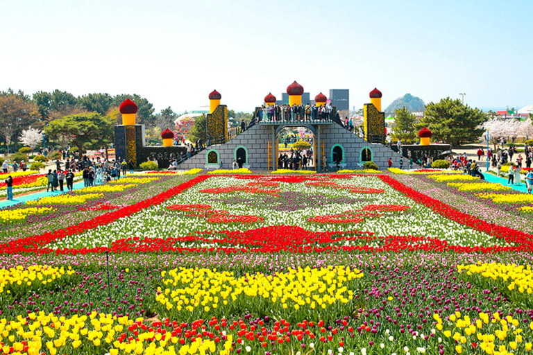 Seoul: Taean Tulip Festival and Strawberry Picking Day Tour Shared Tour, Meet at Dongdaemun