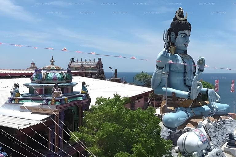 From Colombo: Trincomalee 3-Day Private Tour with Hotel