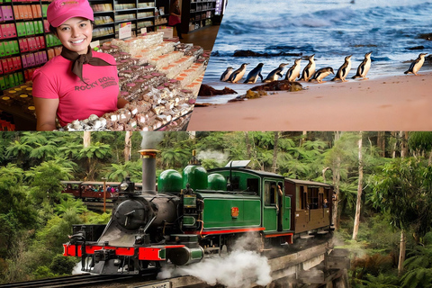 墨尔本蒸汽火车+企鹅观赏+亚拉谷葡萄酒巧克力之旅墨尔本企鹅游行、亚拉河谷葡萄酒美食与考拉之旅