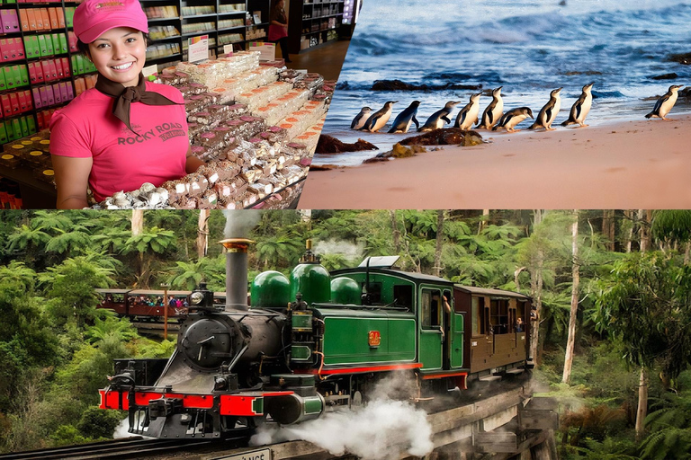 墨尔本蒸汽火车+企鹅观赏+亚拉谷葡萄酒巧克力之旅墨尔本企鹅游行、亚拉河谷葡萄酒美食与考拉之旅