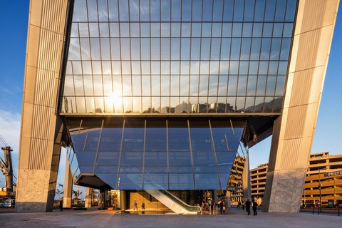 Rio de Janeiro: Modern Architecture Full-Day Tour & Transfer