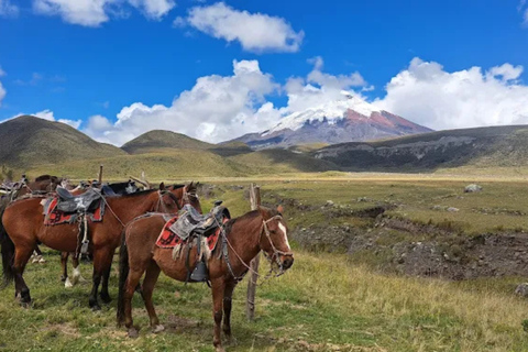 Private Cotopaxi: Horseback Riding & Inca Trail Footsteps