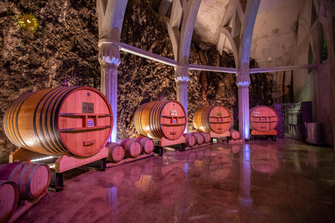 Vignoble des Alpilles à véloExcursion en E-Bike avec dégustation de vins pour une journée entière