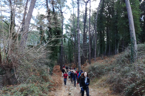 Wycieczka prywatna Vrmac Hiking