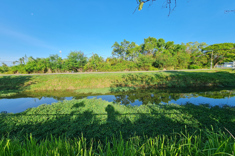 Penang: Around The Island Private Guided Tour