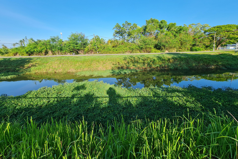 Penang: Cameron Highlands Private Tour with Tea Plantation
