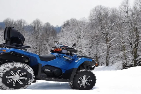 Sinaia: Guided ATV and Buggy Tour to Cota 1400 Guided ATV Tour for 4-6 Persons