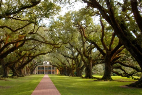 Nueva Orleans: Tour de medio día a la Plantación Oak Alley