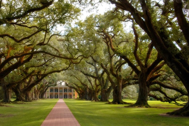 New Orleans: Oak Alley Plantation Halbtagestour