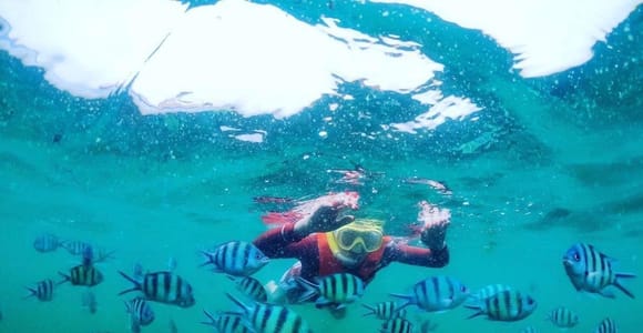 Koh Samui: 4-Hour Pig Island & Snorkeling Tour by Speedboat