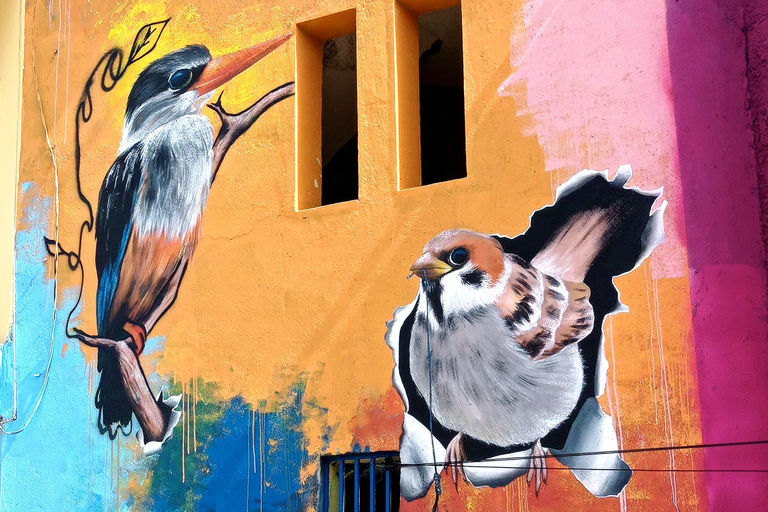 Wycieczka po plantacji bananów i kokosów z lunchem