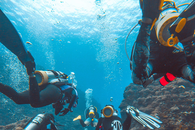 Fethiye: Daily Scuba Diving Experience w/ Hotel Pick-up