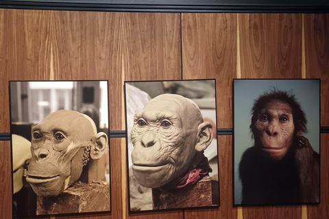Johannesburg: Cradle Of Humankind & Fossil Discovery Tour