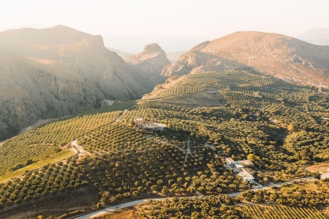 Kreta: Elafonisi Ganztägige private Tour nach MaßVom Gebiet Rethymno