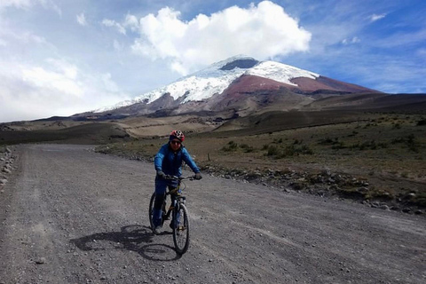 Desde Quito: Excursión al Volcán Cotopaxi y a la Laguna de Limpiopungo