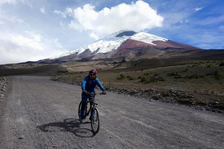 Z Quito: Wycieczka do wulkanu Cotopaxi i laguny Limpiopungo