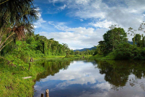 Manu: Amazon Jungle Wildlife & Macaw Clay Lick Tour