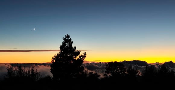 La Palma: Stargazing Tour with a 50 cm Dobsonian Telescope