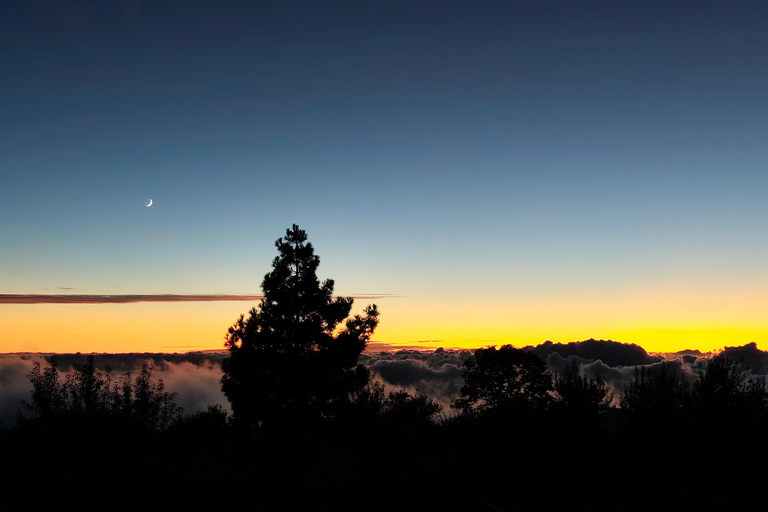 Experience a stargazing tour with a telescope in La Palma