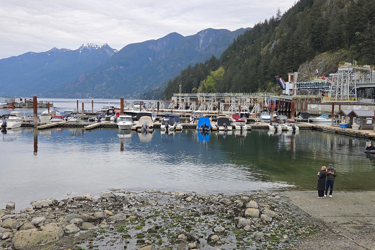 Vancouver: Sea-To-Sky half-day tour, Gondola & luggage