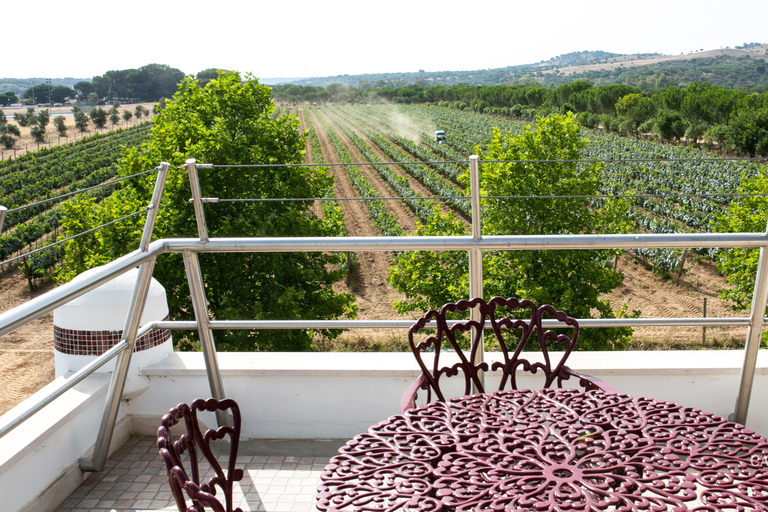 Herdade Canal Caveira - Winery Visit 4 Red's Wines & Tapas