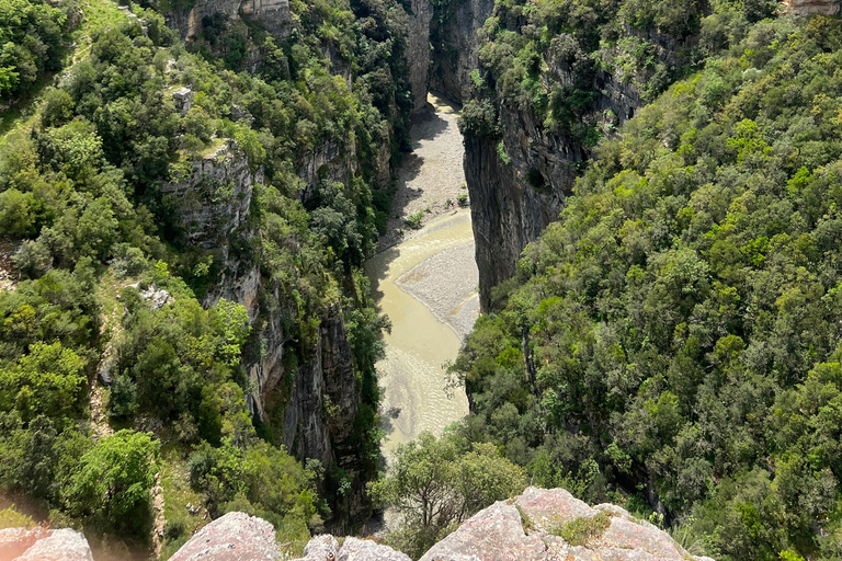 Från Berat: Osumi Canyon, Bogova Waterfall och Pirro Goshi...