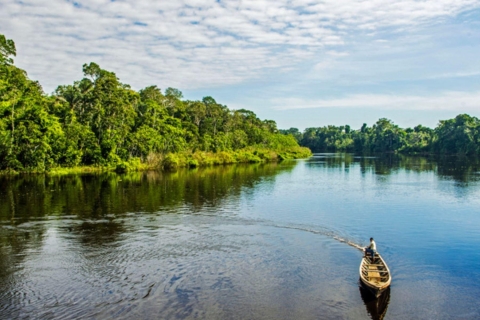 Desde Iquitos || Excursión de 4 días al río Yanayacu con observación de aves