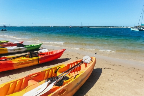 Gold Coast: Wave Break Island Kayaking & Snorkeling tour Meeting Point Option