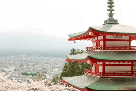 Desde Tokio: Monte Fuji Tour Privado de un Día con Conductor InglésToyota Vellfire