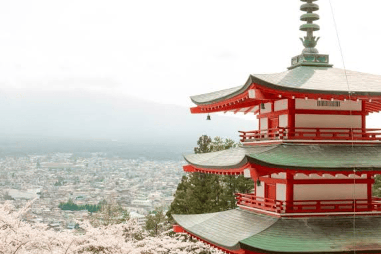 Depuis Tokyo : Visite privée du Mont Fuji avec chauffeur anglaisToyota Vellfire