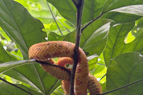 Guanacaste: Sloth Sanctuary and Waterfall Adventure