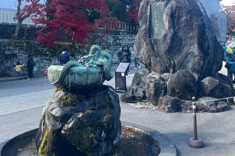 From Tokyo: Nikko Private Day Trip with Pickup & Drop-off