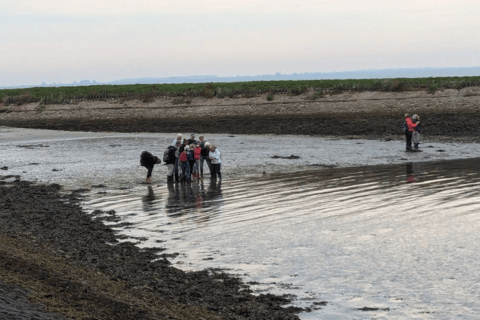 Oosterschelde: Guided Tour in Search of Salty Shellfish