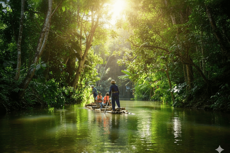 Chiang Mai: Pro Private Driver Service with Custom Itinerary
