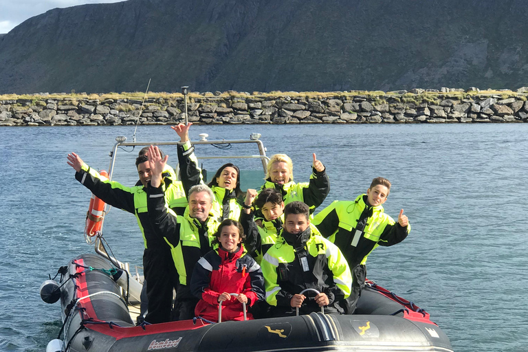 هونينغسفاغ سلطعون ملك شمال كيب الشمالي وسفاري الحياة البرية في القطب الشمالي