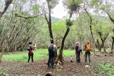 من هانوي: جولة لمدة يومين في جزيرة كات با مع رحلات المشي لمسافات طويلة