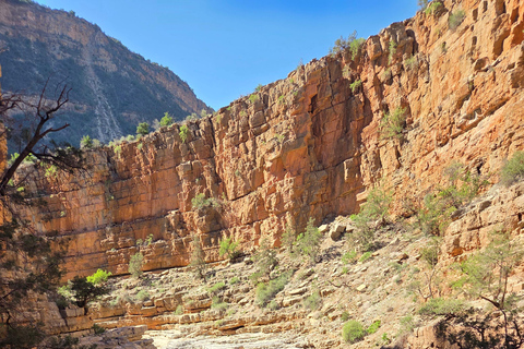 From Agadir/Taghazout: Paradise Valley Guided Tour with Hike