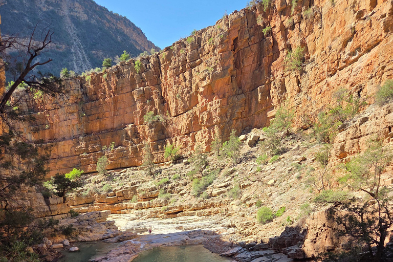 From Agadir/Taghazout: Paradise Valley Guided Tour with Hike