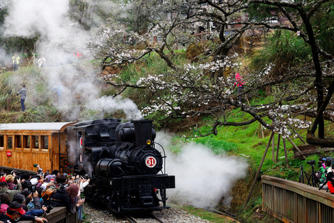 From Taipei: Alishan 2 Days Private Tour