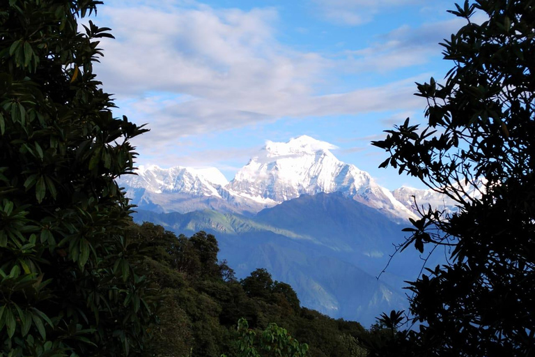 Vanuit Pokhara: 5 Daagse Poon Hill met Natuurlijke Warmwaterbron Trek