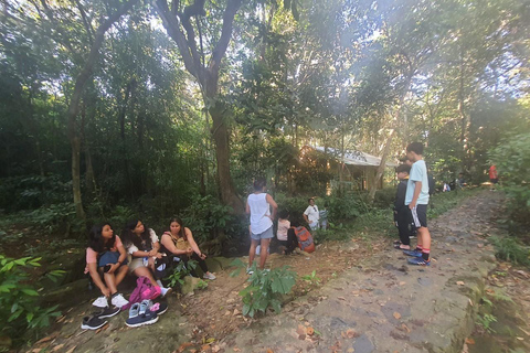 Half day Hiking Cat Ba National Park With guide