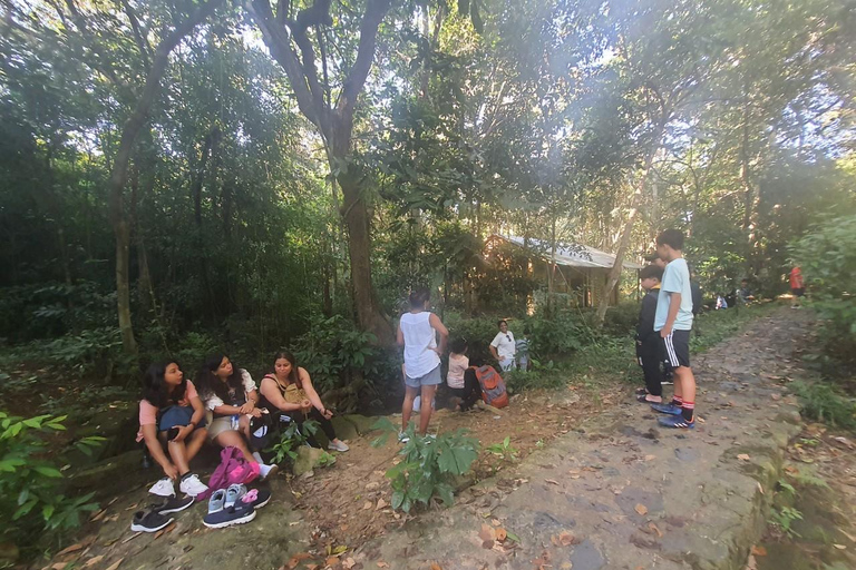 Half day Hiking Cat Ba National Park With guide