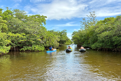 Fort Lauderdale: Kayak & Paddleboard Mangroves Eco Adventure
