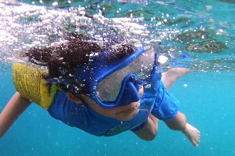 Seebeye: Sea tours to Dimaniyat island