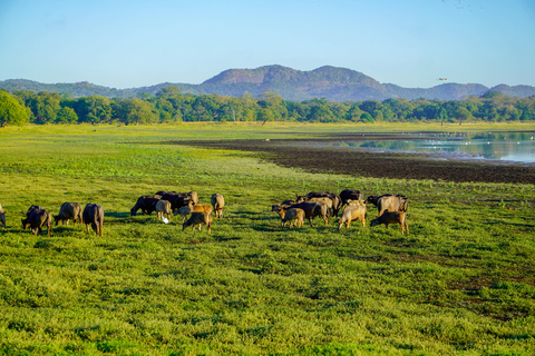 Kaudulla Wildlife & Landscape Photography Expedition