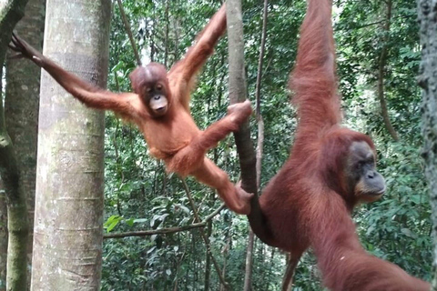 Selva fantástica 3 dias 2 noites